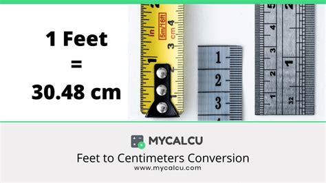 8尺 to cm|Convert 8 Feet to Centimeters